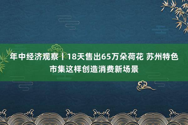 年中经济观察丨18天售出65万朵荷花 苏州特色市集这样创造消费新场景